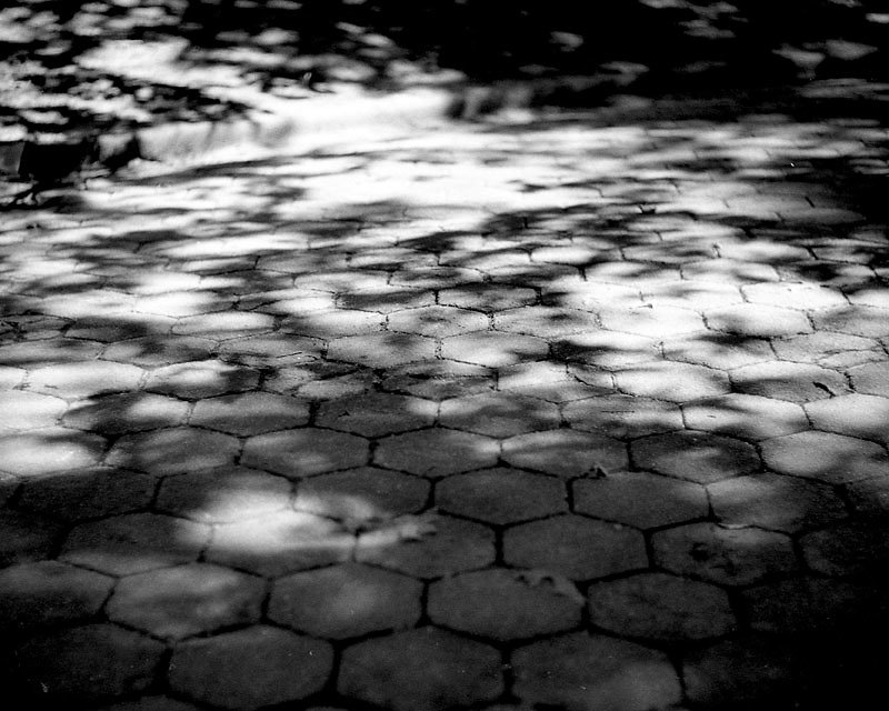 symonchow-shadows.jpg